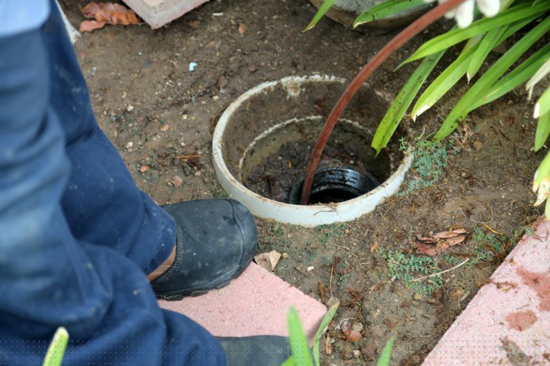 Gutter Clog Removal