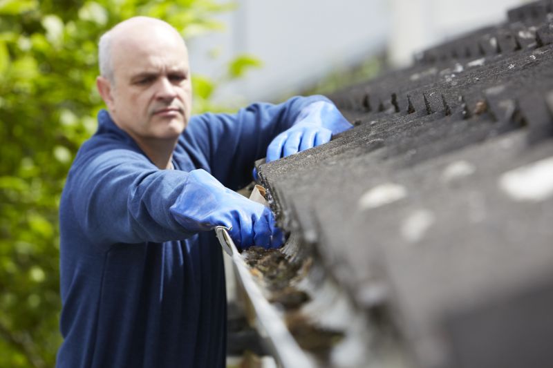 Debris Removal from Gutters