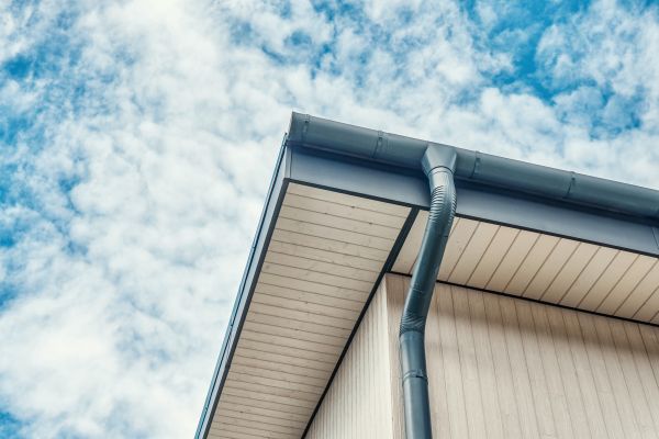Gutter Fascia Repair in Dunnellon