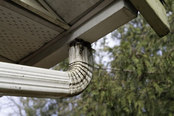 Cost of Roof Drain Replacement in Dunnellon