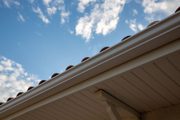 Cost of K Style Gutter Installation in Dunnellon